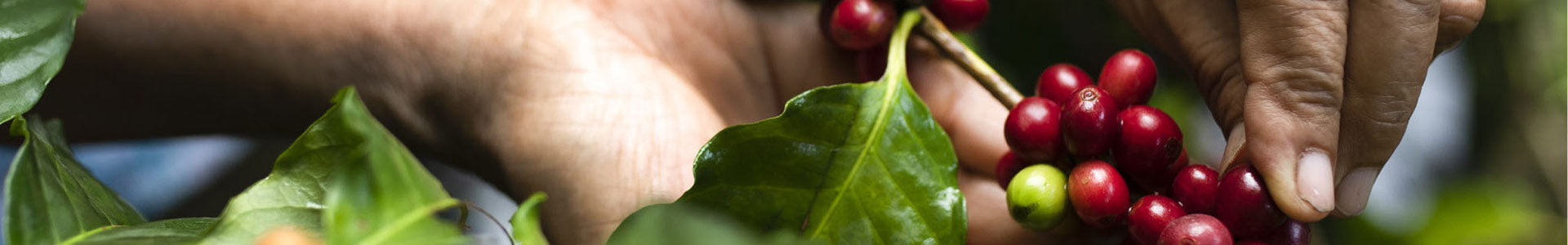 Blogartikel-Preisanpassung